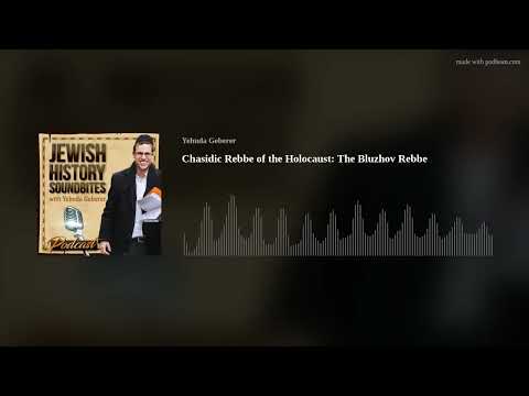 Chasidic Rebbe of the Holocaust: The Bluzhov Rebbe