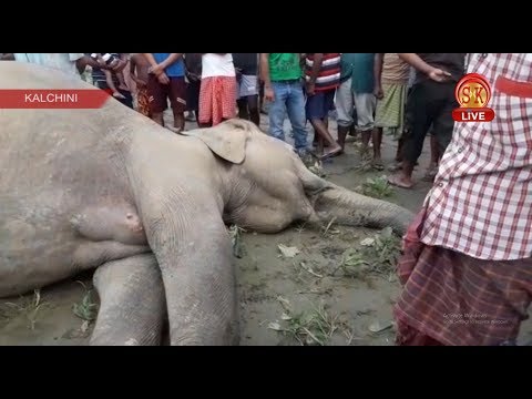 Nepali News | Afternoon | 30th September 2018