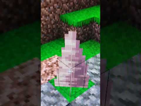 Create EPIC Minecraft world in Jakcoland!
