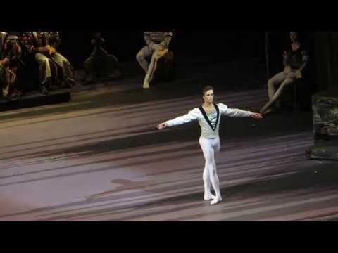 Ruslan Skvortsov - Swan Lake
