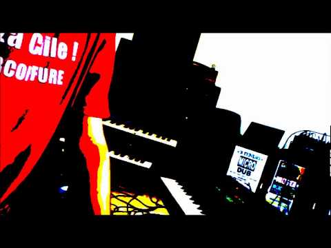 Projeto MicroDub inna Ragga