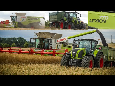 Rapsernte 2023 XXL/ Claas Lexion 770 TT/ Claas Axion 960, 810/ Getreideernte mit Claas [Sound]