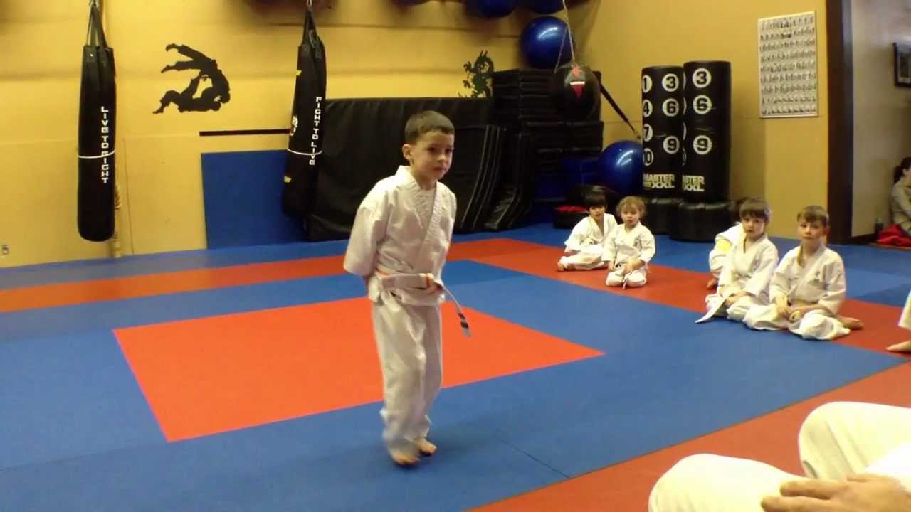 A Typical Children's Karate Class (ages 4-7) at Arashi Do Martial Arts