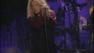 THANK YOU (Page & Plant)