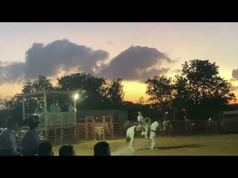 Tarde de piales! Kendleton,Texas