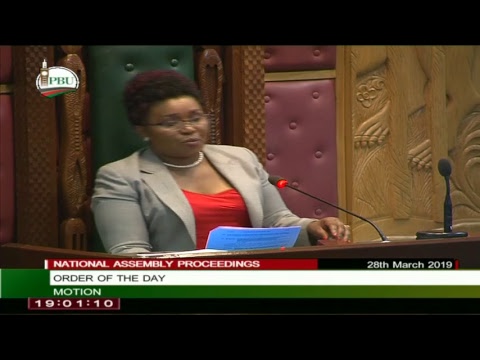 The National Assembly proceedings 28th March 2019.