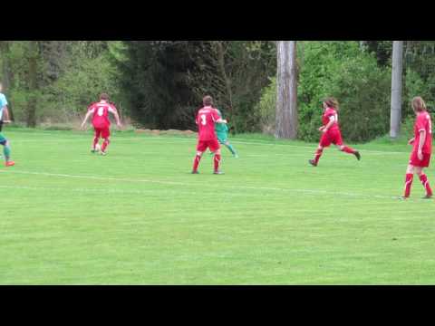 Pila - KSNP Sedlec (5/2017) - penalta, Vavřina Robert nedal