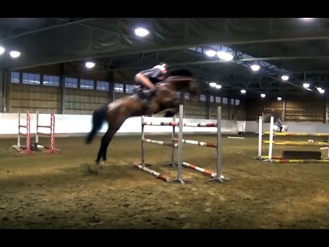 Porteur de Lumière,  exercising 10.12.2019