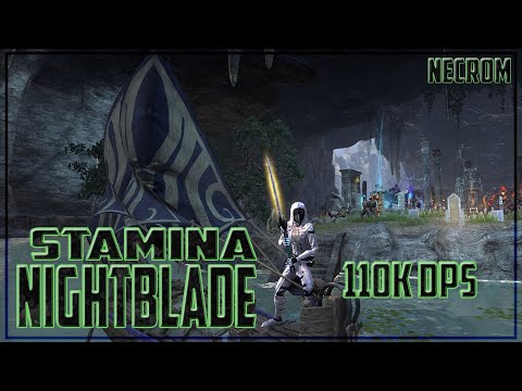 Stamina Nightblade PVE 110K DPS Parse (Necrom)
