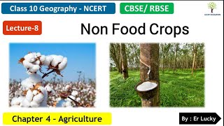 Non Food Crops - Chapter 4 Agriculture Class 10