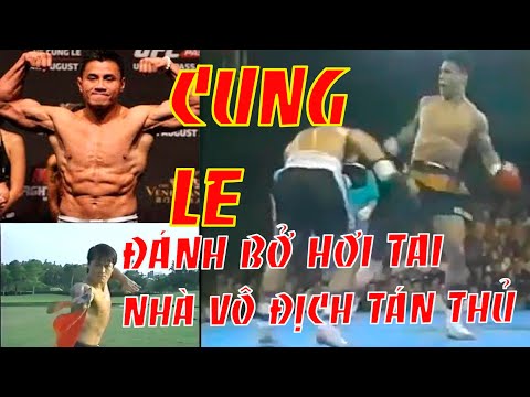 Cung Le vs Jason, Đánh Đương Kim Vô Địch Tán Thủ, Cựu Vương Kickboxing Bở Hơi Tai, Không Có Một Cơ