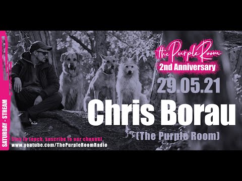Chris Borau - The Purple Room 2nd Anniversary