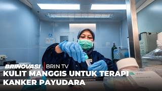 Download lagu Kulit Manggis Untuk Terapi Kanker Payudara mp3