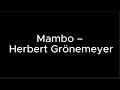 Mambo – Herbert Grönemeyer – Lyrics