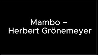 Mambo – Herbert Grönemeyer – Lyrics