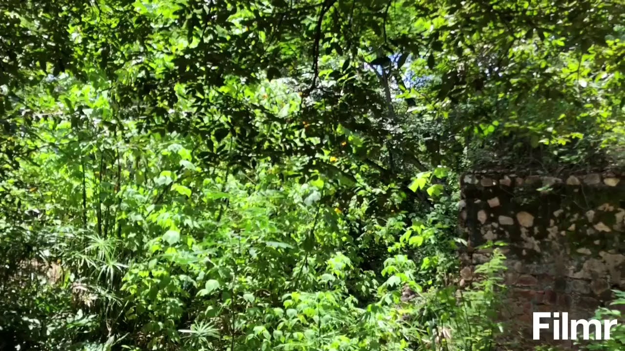 Morning Talks/Nature (cenário de As pedras que falam)