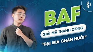 Phía sau “Đại gia chăn nuôi” BaF: Bí mật về thế lực “khủng” ít người biết | Phân tích cổ phiếu BAF