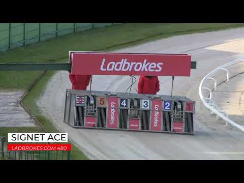 Signet Ace - LADBROKES COM 480