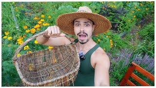 I Left My Garden For Week And Came Back To A Huge Harvest!