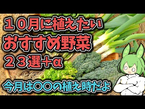 園芸 冬の家庭菜園では何をすればよいでしょうか?