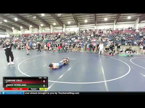 119 Lbs Quarterfinal - Carmine Cruz, AZ Vs Jaiden Moreland, MT 3925