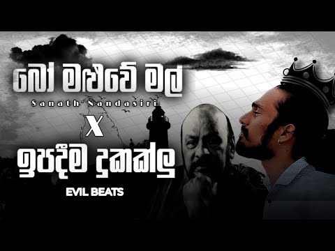 Bo maluwe mal x Ipadima Dukaklu ( ඉපදීම දුකක්ලු X බෝ මළුවේ මල්  ) @kinglotuss | EVIL BEATS