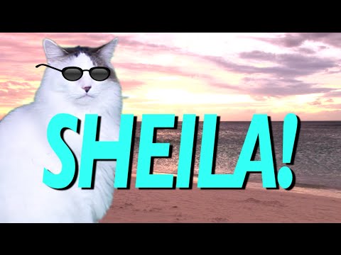 HAPPY BIRTHDAY SHEILA! - EPIC CAT Happy Birthday Song