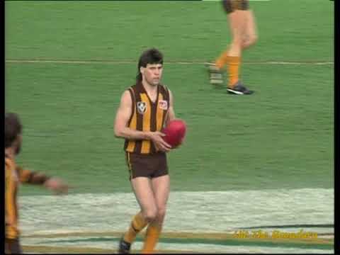 1989 VFL Grand Final: Hawthorn v Geelong (5 minutes to go)