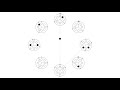 Study No 40 Pulseight Animated Notation