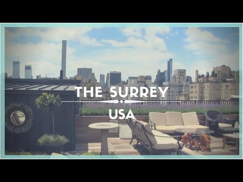 download lagu mp3 mp4 The Surrey, download mp3 The Surrey free download mp3, download mp3 The Surrey