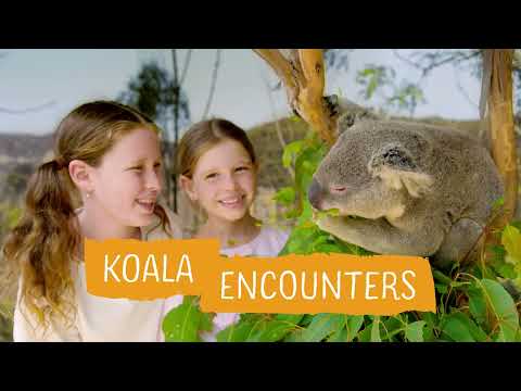 Sydney Zoo