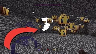 Minecraft 　ハチ対ウィザー再戦！！