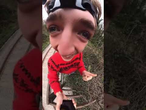 chasing quarry trains