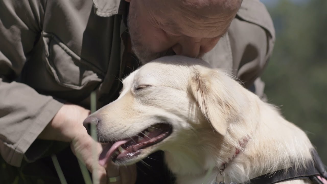 Campagna anti-abbandono del cane su RETE 55 con Albani consigliere a Busto