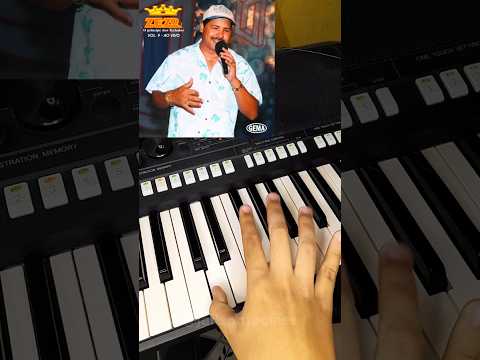 A Desconhecida - Zezo