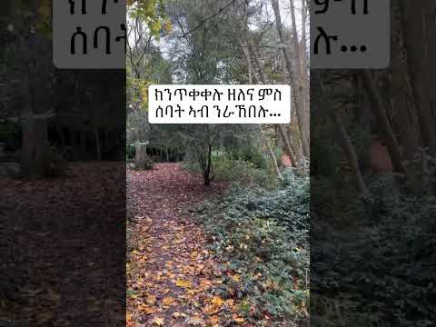ክንጥቀቀሉ ዘለና ምስ ሰባት ኣብ ንራኸበሉ...