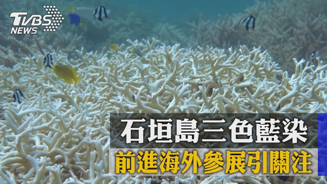 石垣島三色藍染 前進海外參展引關注