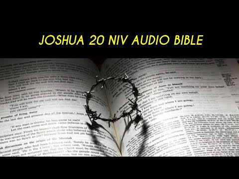 JOSHUA 20 NIV AUDIO BIBLE (with text)