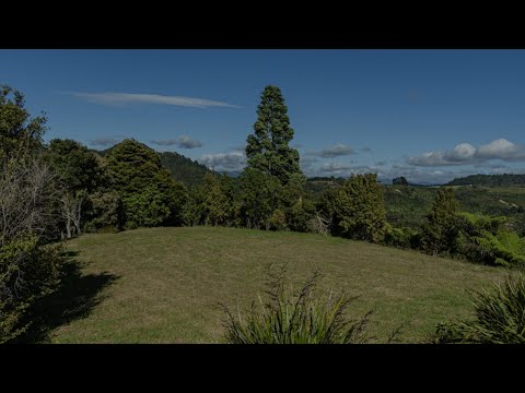 180 Silverstream Falls Row, RD1, Whitianga, Thames, Waikato, 0 ਕਮਰੇ, 0 ਬਾਥਰੂਮ, Lifestyle Section