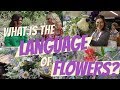 What Is the Language of Flowers? | The Lost Flowers of Alice Hart on #BookBreak