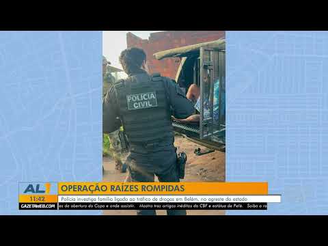 Operação Raízes Rompidas mira tráfico de drogas e armas no Agreste de Alagoas