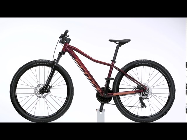 Scott contessa 60 sale