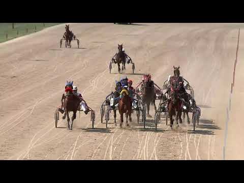 2020.08.29. 01. futam - NYERETLENEK VERSENYE