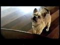 Początek Kasety VHS Do Filmu Sindbad Legenda Siedmiu Mórz Z 2003 R