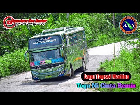 Lagu Tapsel Terpopuler || Togu Ni Cinta Remix Versi Bus ALS