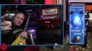 Video thumbnail for Tone City Audio - ANGEL WING Chorus - Demo & Review by The Tone King
