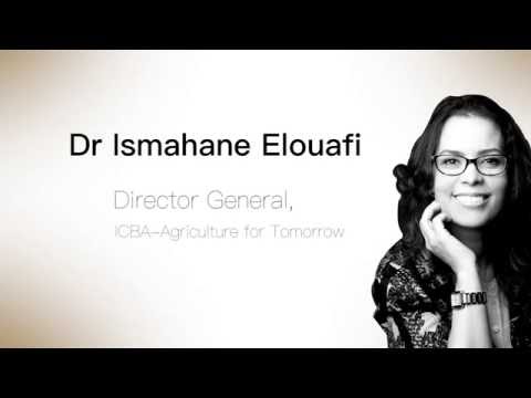 Dr Ismahane Elouafi