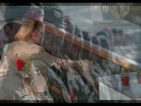 Freedom Needs A Soldier