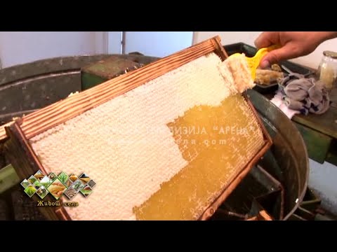 U pčelinjacima košnice gotovo prazne