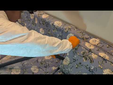 The Entire Couch Loaded with Bed Bugs in...